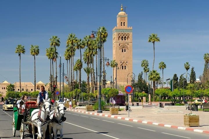 day trip to Marrakech from Agadir white tour Guide