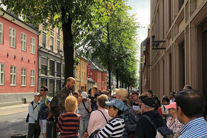 Central Oslo Guided Walking Tour with Local Guide