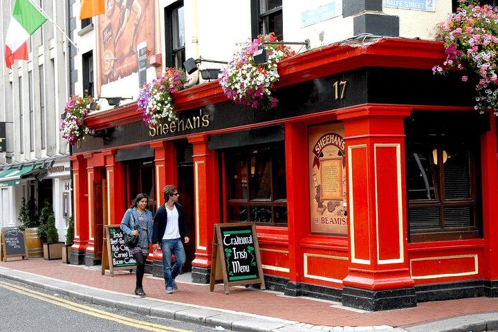 2 Hour Walking Tour of Dublin's City Centre