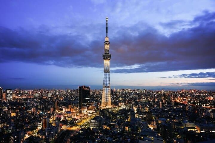 Tokyo City Private Tour up to 6 Persons