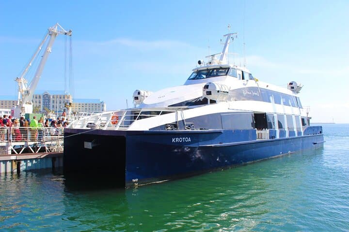 Pre-Booked Robben Island Half-Day Private Tour in Cape Town