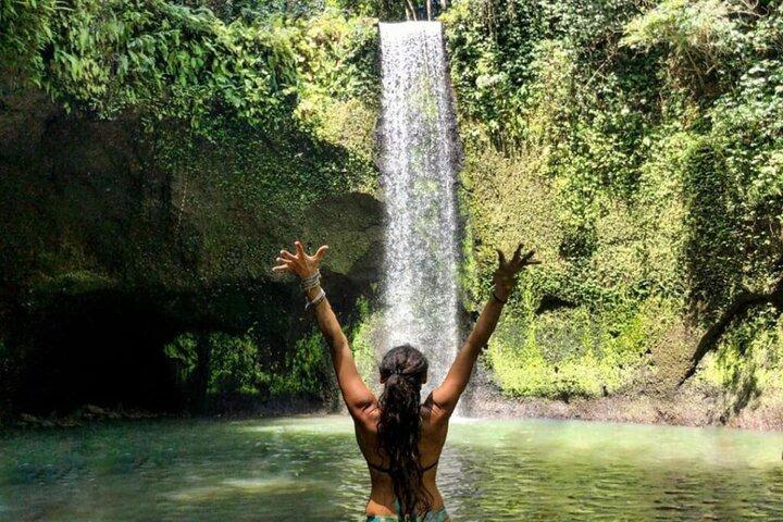 Ubud Monkey Forest, Rice Terrace & Tirta Empul Temple Tour