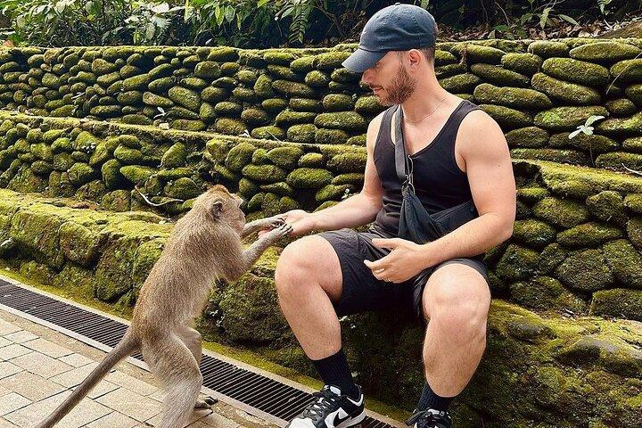 Ubud Monkey Forest, Rice Terrace & Tirta Empul Temple Tour