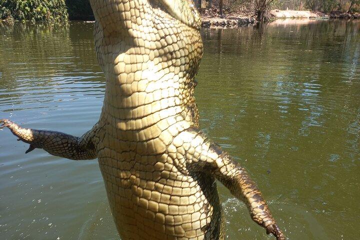 Darwin City Tour + Crocodile Cruise