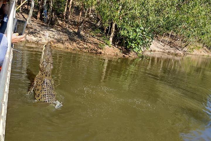 Darwin City Tour + Crocodile Cruise