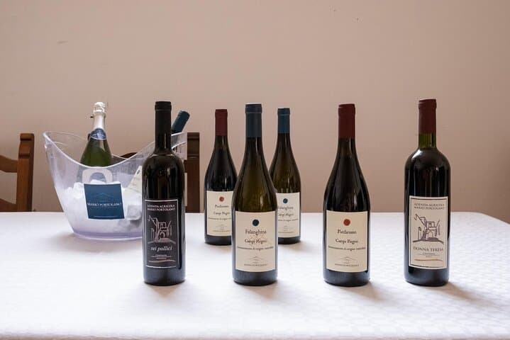 Wine Tasting in Campi Flegrei from Naples