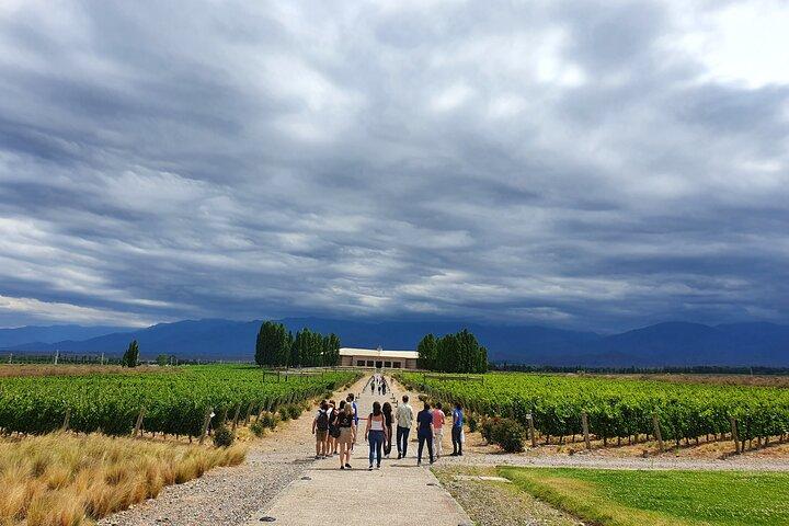 Top Rated: Winery Tour with Lunch in Mendoza