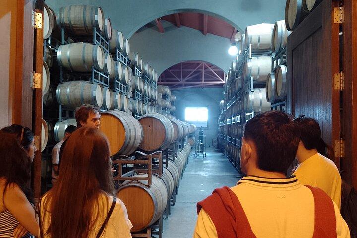 Top Rated: Winery Tour with Lunch in Mendoza