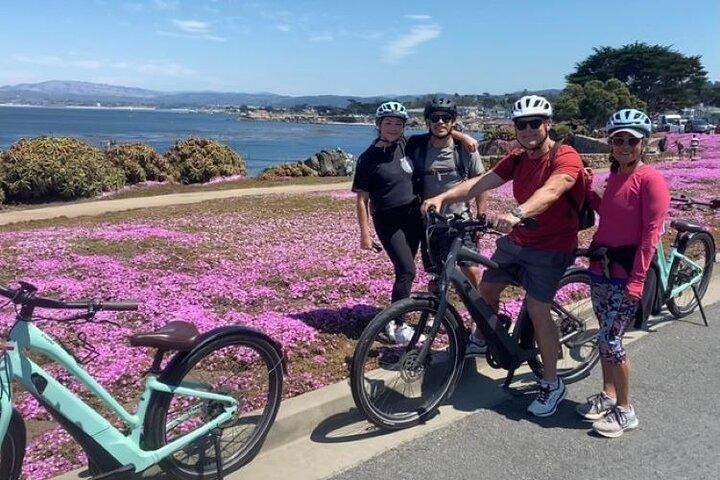 Monterey 17-Mile Drive Electric Bike Guided Tour