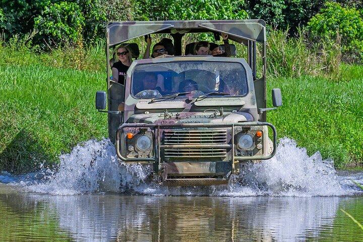 UTV 4wd Cassowary Falls and Daintree Rainforest Adventure tour
