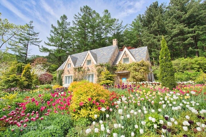 Nami Island, Petite France and Garden of Morning tour from Seoul