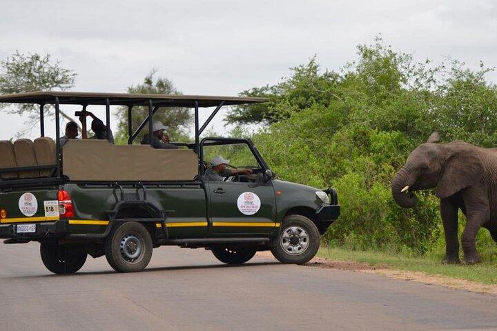All Inclusive 2 Day Kruger Safari from Nelspruit