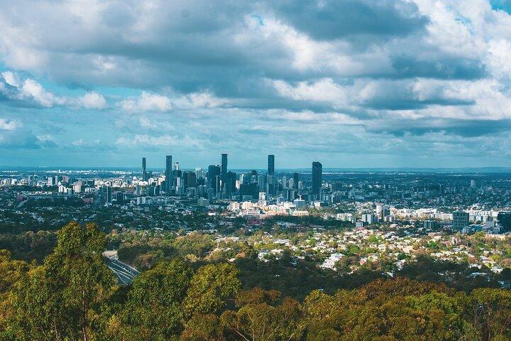 Brisbane Drive by Day - Private Tour