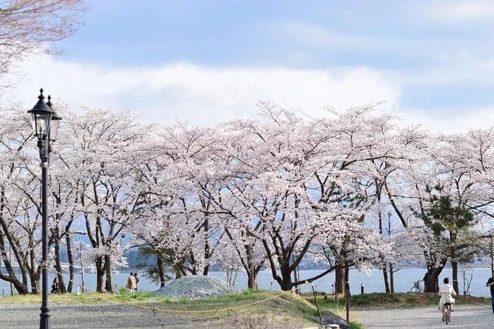 Mt. Fuji Tour: 5th Station Arakurayama Sengen Park & Matcha Tokyo