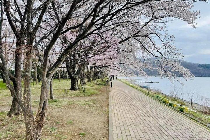 Mt. Fuji Tour: 5th Station Arakurayama Sengen Park & Matcha Tokyo
