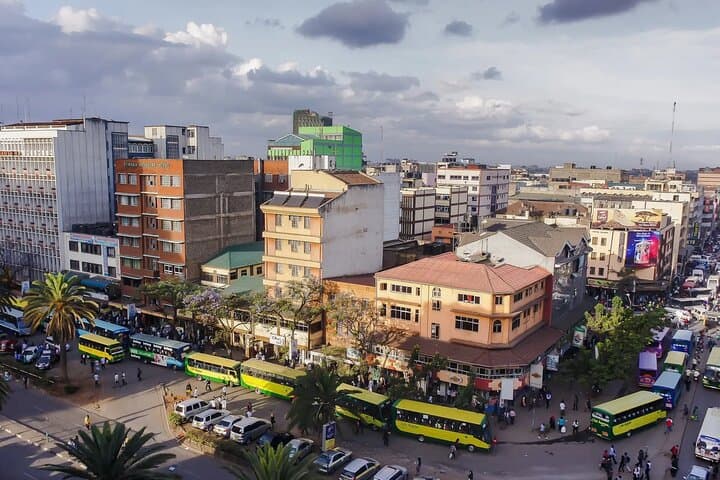 Nairobi City Sightseeing Guided Tour with Lunch at Carnivore