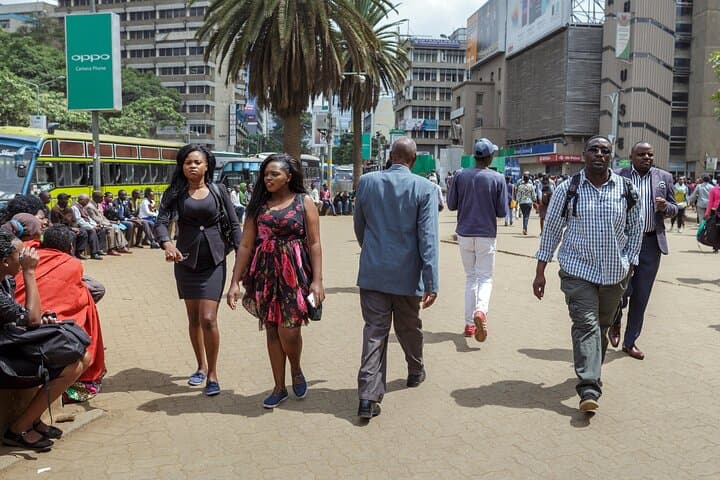 Nairobi Airport Layover to City Highlight Walking Guided Tour
