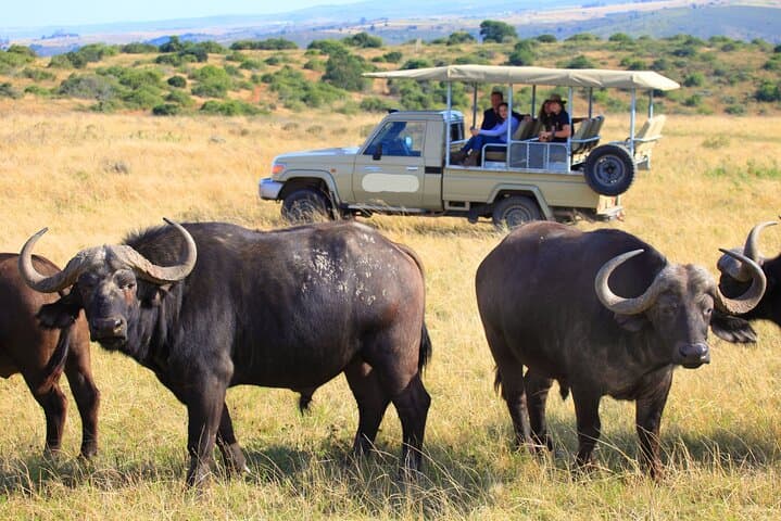 4 Days Masai Mara Mid Range Explorer on 4WD Small Group Tour