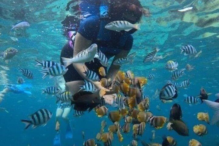 Bali Snorkeling at Blue Lagoon Beach with All-Inclusive Tour