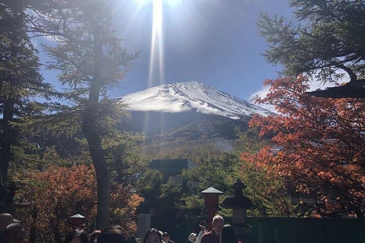 Mount Fuji, Oshino Hakkai and Park Sightseeing Day Tour