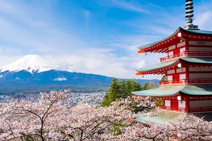Mount Fuji, Oshino Hakkai and Park Sightseeing Day Tour