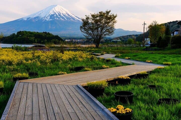 Mount Fuji, Oshino Hakkai and Park Sightseeing Day Tour
