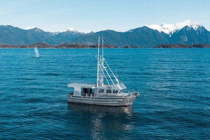 Experience Incredible Marine Wildlife Tour