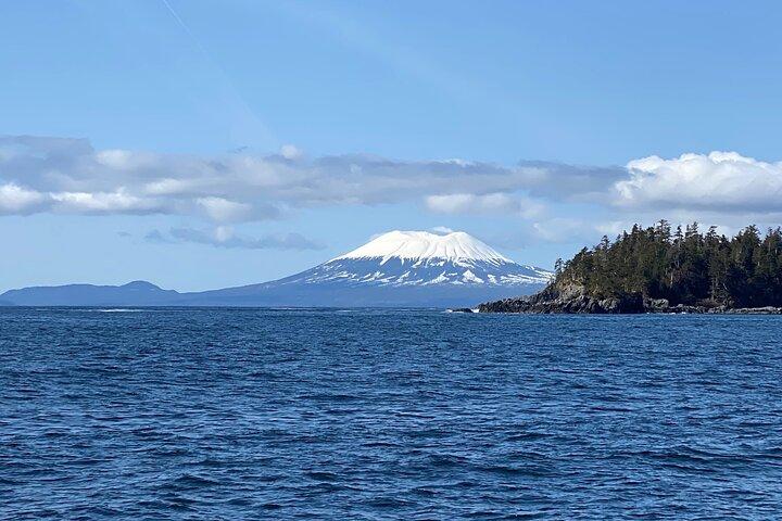 Experience Incredible Marine Wildlife Tour