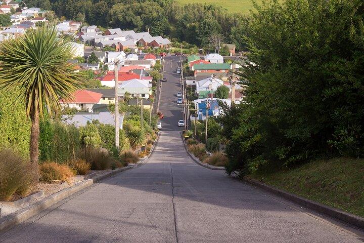 Larnach Castle & Dunedin City Highlights Tour (Shore Excursion)