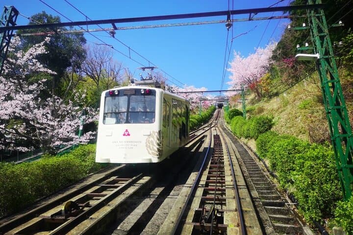 Amanohashidate & Miyama 1-Day Bus Tour: From Osaka/Kyoto w/ Lunch