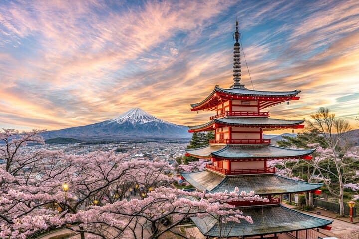 From Tokyo: Mt Fuji and Hakone Private Day Trip