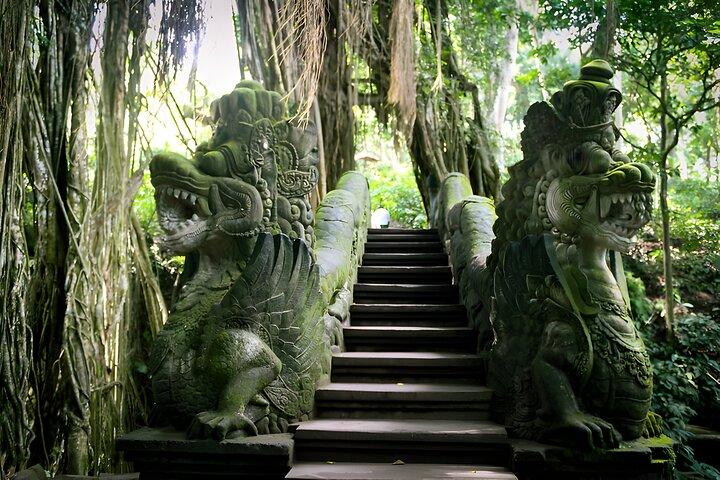 Bali Full-Day Tours : Waterfall and Ubud Destination Trip