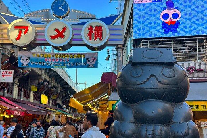 From History to Subculture: Akihabara & Ueno Must-See Tour!