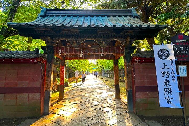 From History to Subculture: Akihabara & Ueno Must-See Tour!