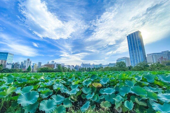 From History to Subculture: Akihabara & Ueno Must-See Tour!