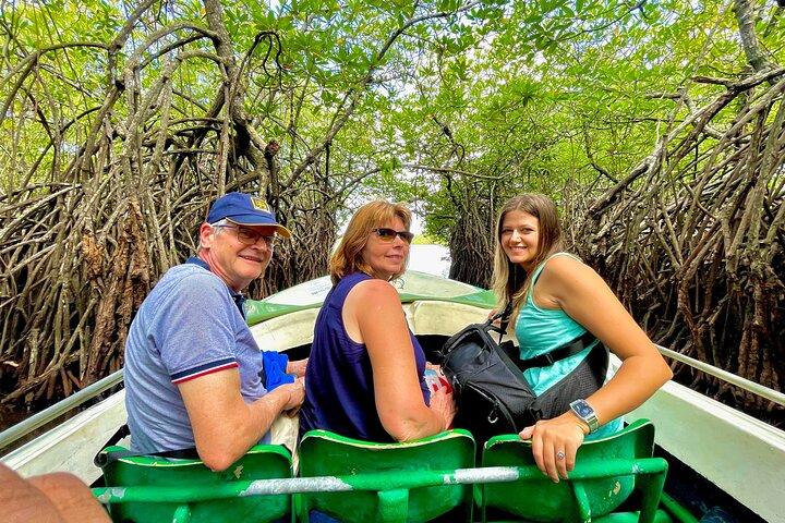 2h Madu River Safari: Mangrove, Cinnamon Island & Buddhist Temple
