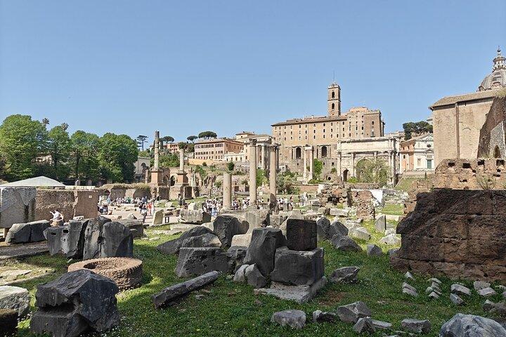 Roman Forum Myths and Legends Private Guided Tour