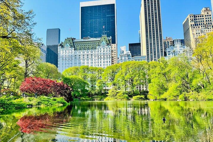 Central Park Pedicab Tour / Photo Stops