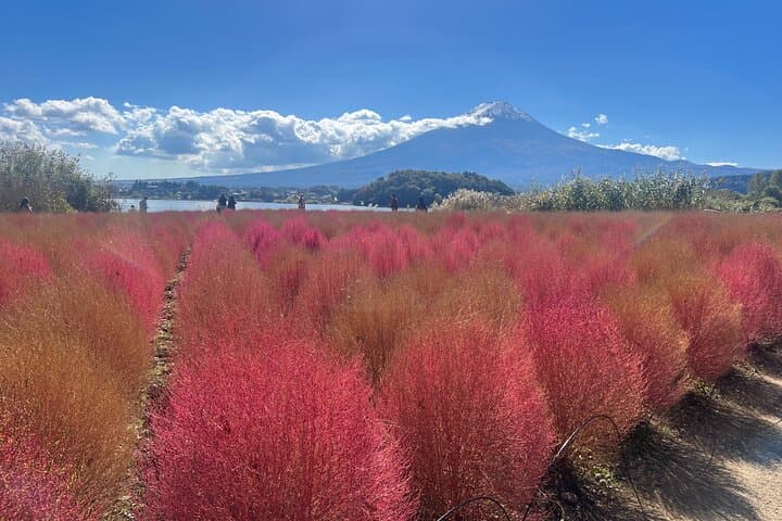 Private Full Day Tour in Mt. Fuji with Pickup