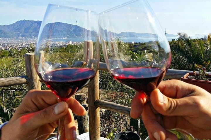 Naples to Amalfi coast trip via Wine-Tasting lunch (or reverse)