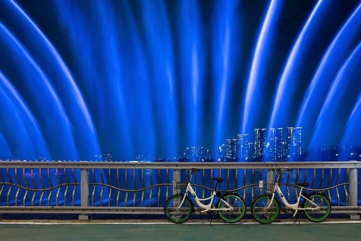 Seoul Night Tour with Han River Cruise and Gyeongbokgung Palace