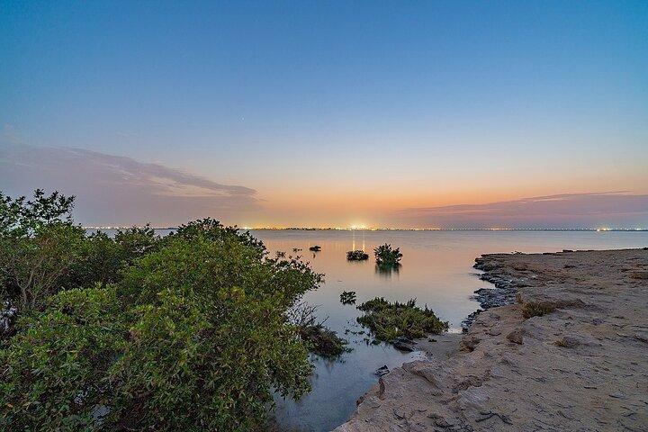 Doha Private North Qatar Tour, Mangroves and Al Zubarah Fort