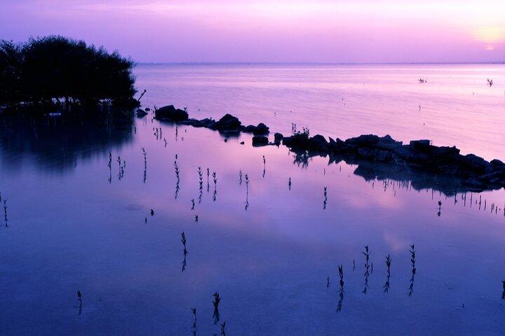 Doha Private North Qatar Tour, Mangroves and Al Zubarah Fort