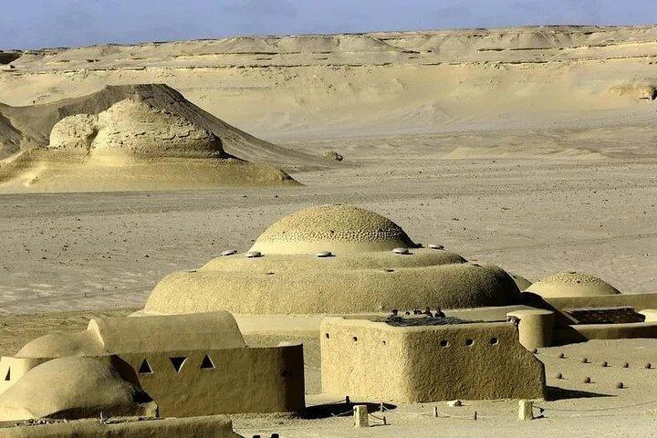 Wadi Al-Hitan Private Valley of the Whales Day Tour From Cairo
