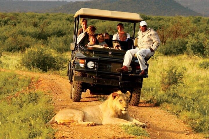 4 Day Garden Route & Addo National Park Tour from Cape Town