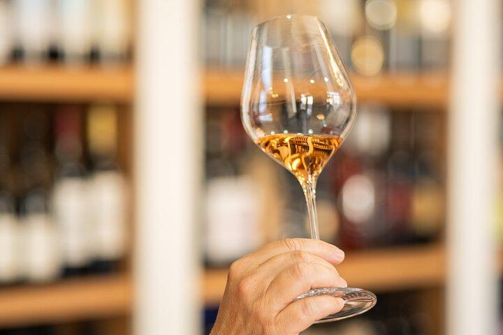Educational wine tasting in Split