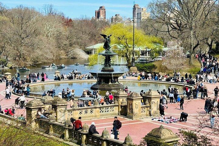 Central Park Pedicab Tour / Photo Stops