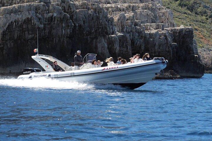 Boat Tour Adventure to Vlore’s Secret Beaches and Hidden Caves