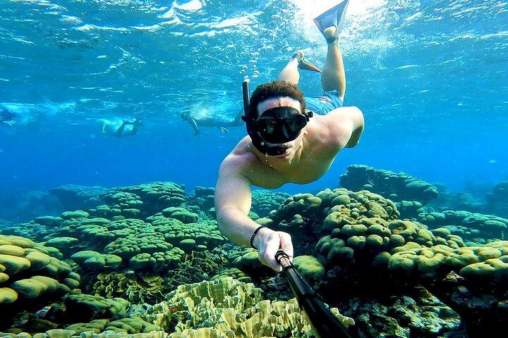 Tropical Sailing Experience with BBQ Lunch or BBQ Dinner in Aruba