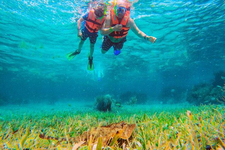 Cancun 5x1 Combo: Snorkeling, ATV, Zipline, Cenote & Beach club